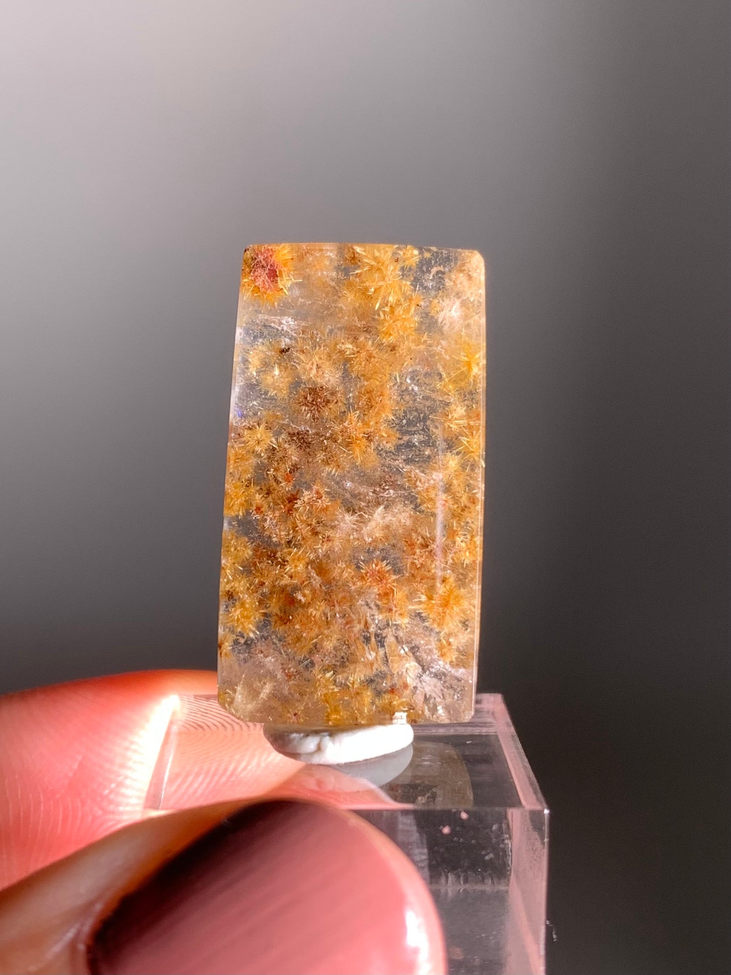 Rare Gold Flower Rutile Quartz Polished Freeform