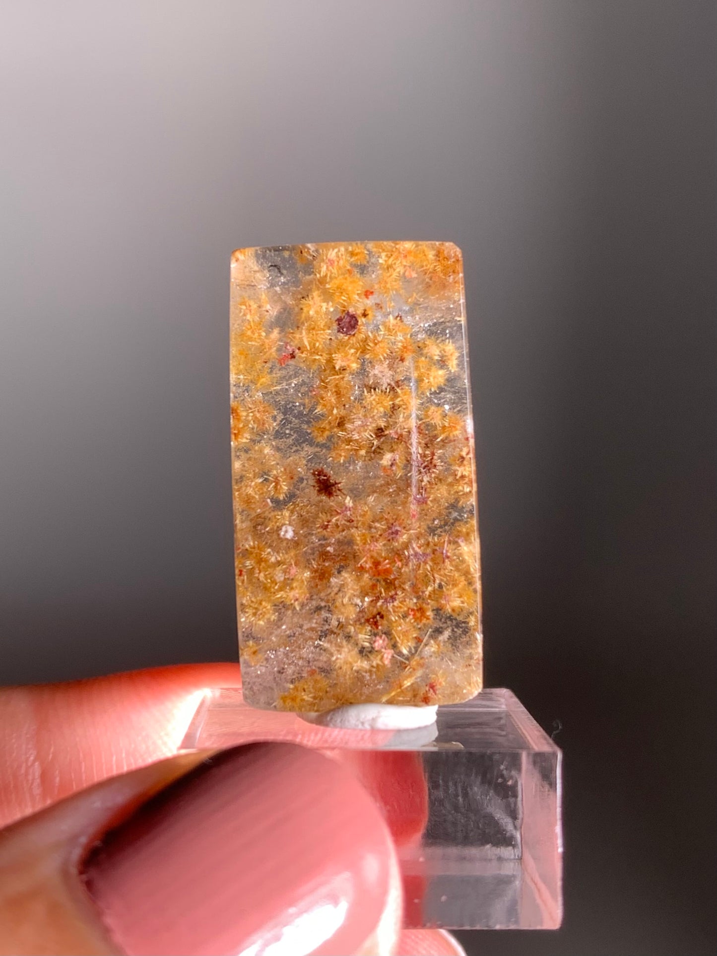 Rare Gold Flower Rutile Quartz Polished Freeform