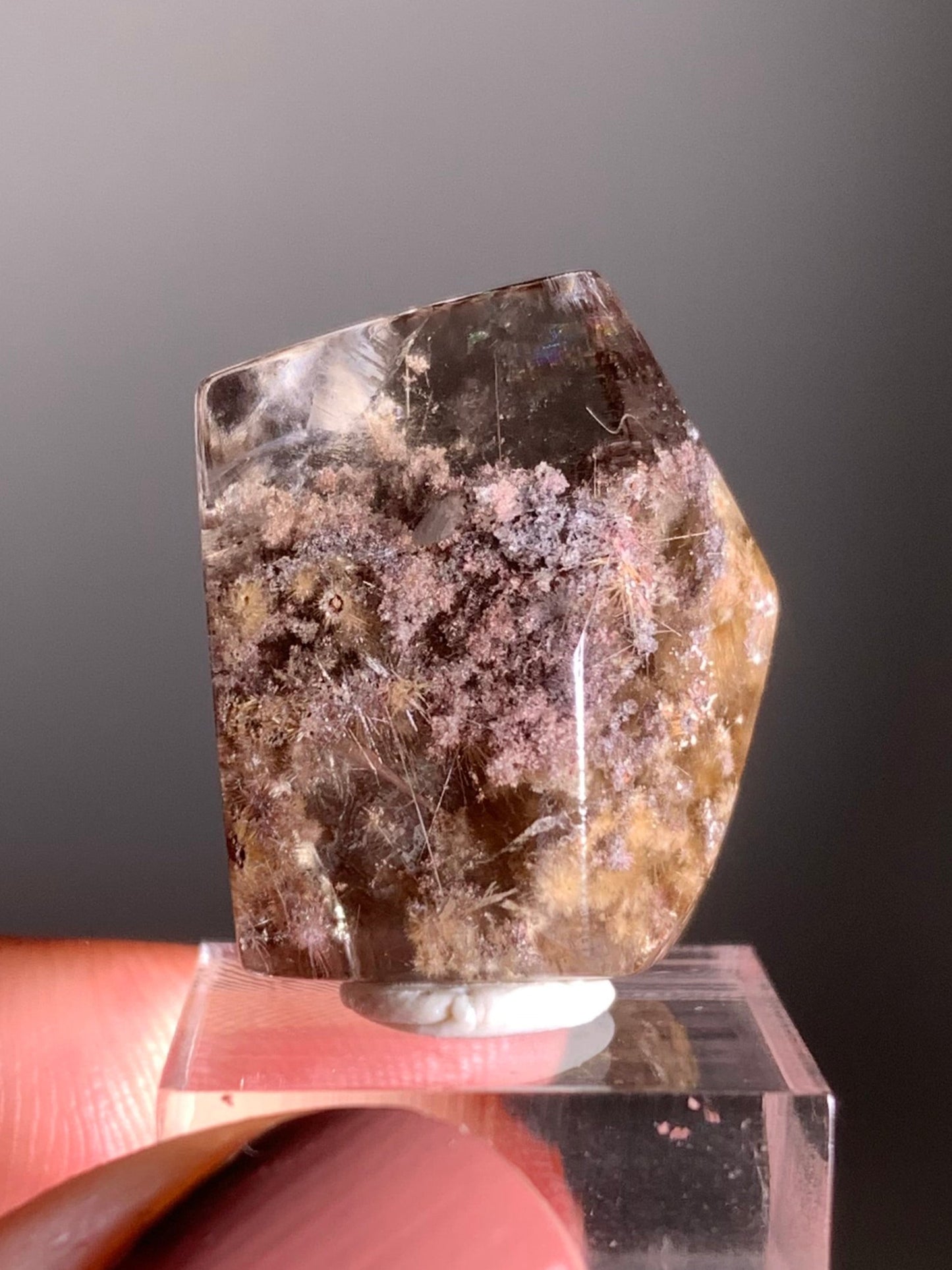 Rare Polished Freeform Quartz with Gold Flower Rutile and Pink & Purple Garden Inclusions