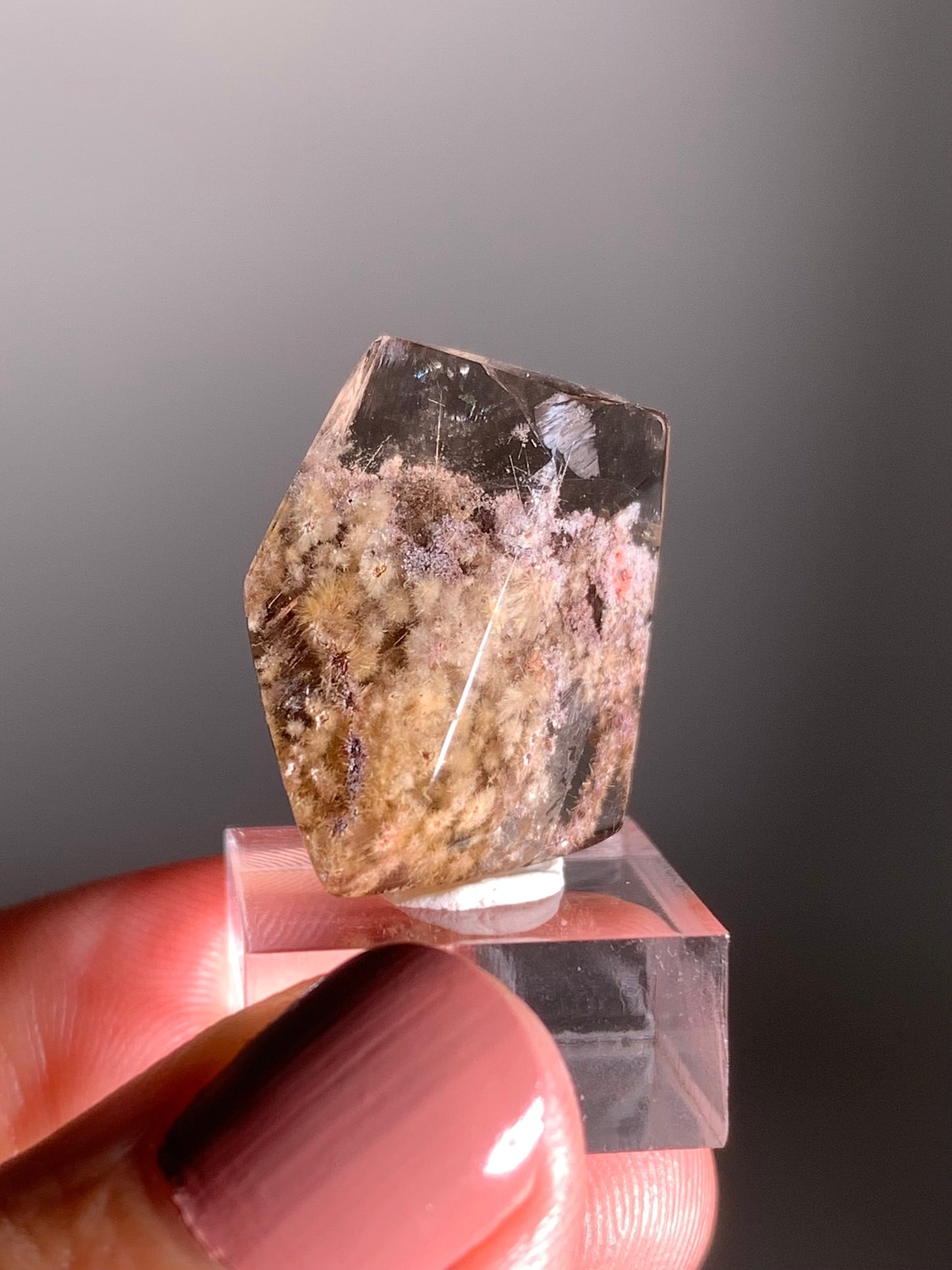 Rare Polished Freeform Quartz with Gold Flower Rutile and Pink & Purple Garden Inclusions