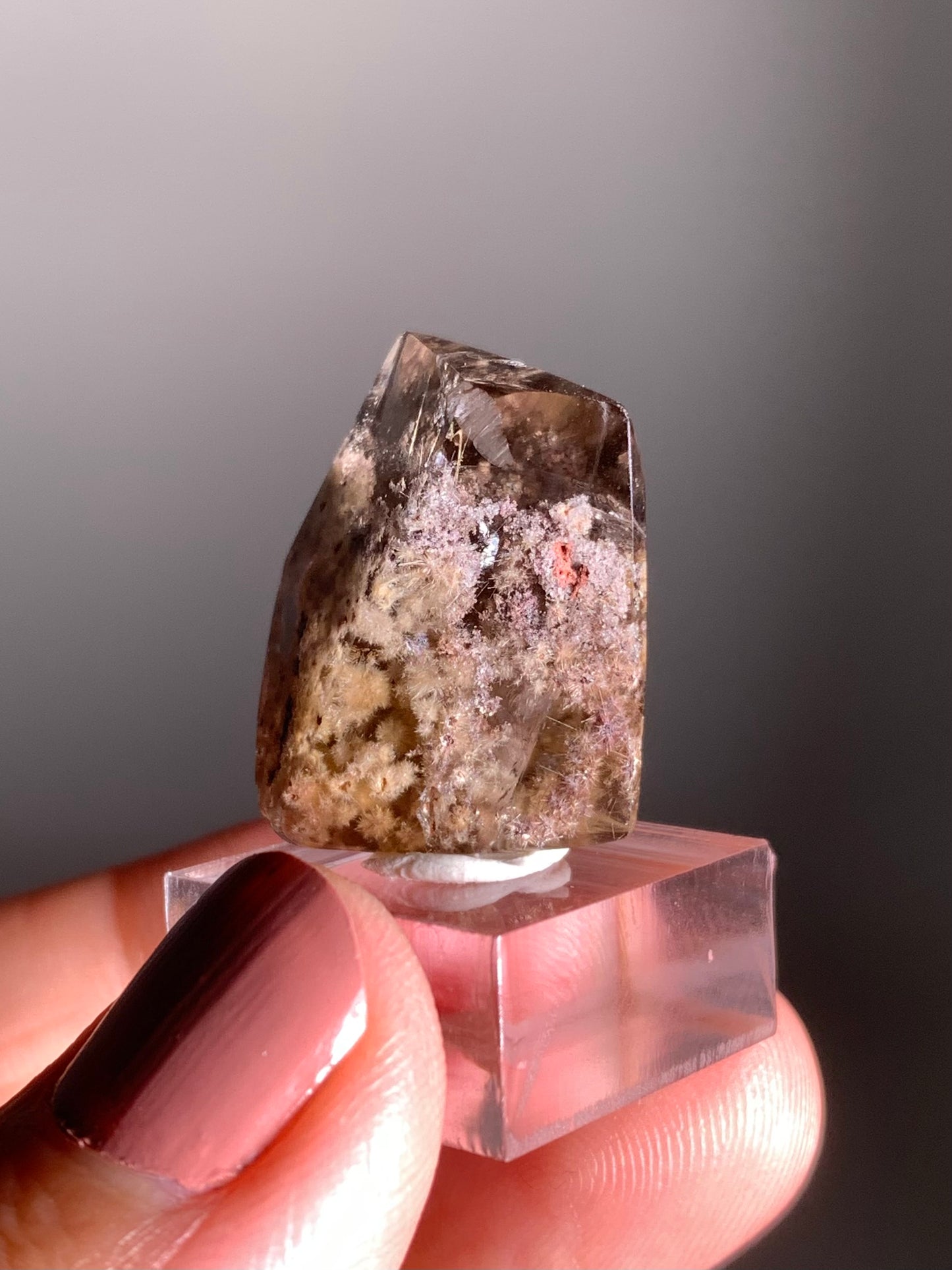 Rare Polished Freeform Quartz with Gold Flower Rutile and Pink & Purple Garden Inclusions