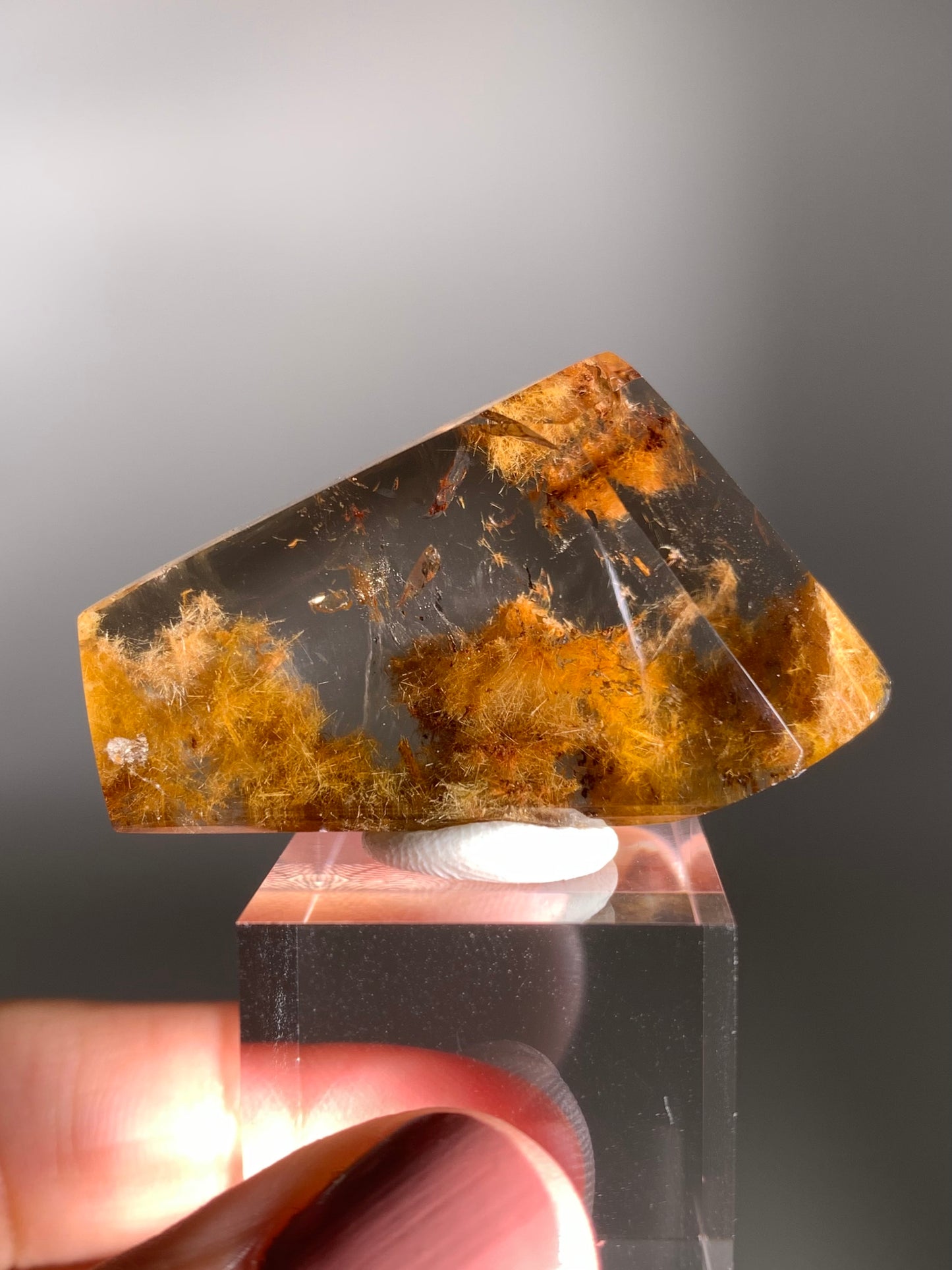 Rare Gold  Flower Rutile Quartz Polished Freeform