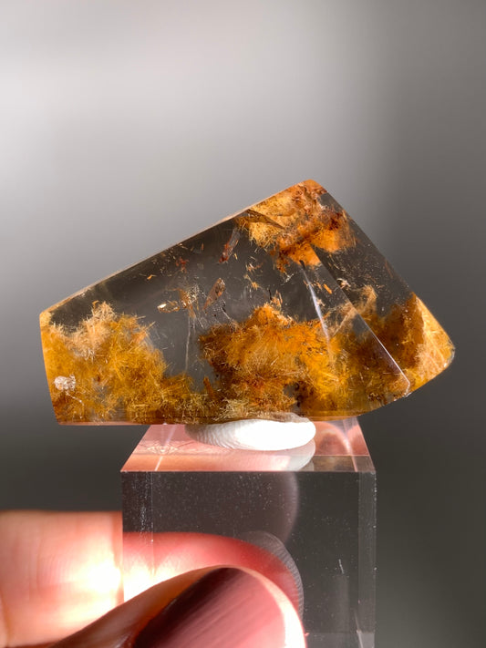 Rare Gold  Flower Rutile Quartz Polished Freeform