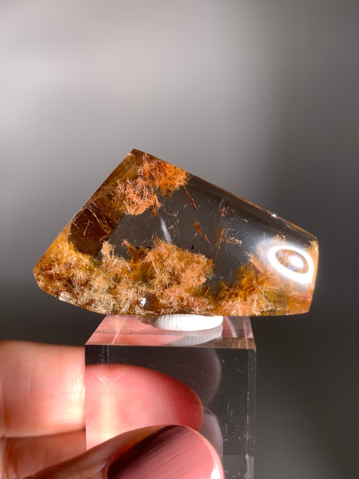 Rare Gold  Flower Rutile Quartz Polished Freeform