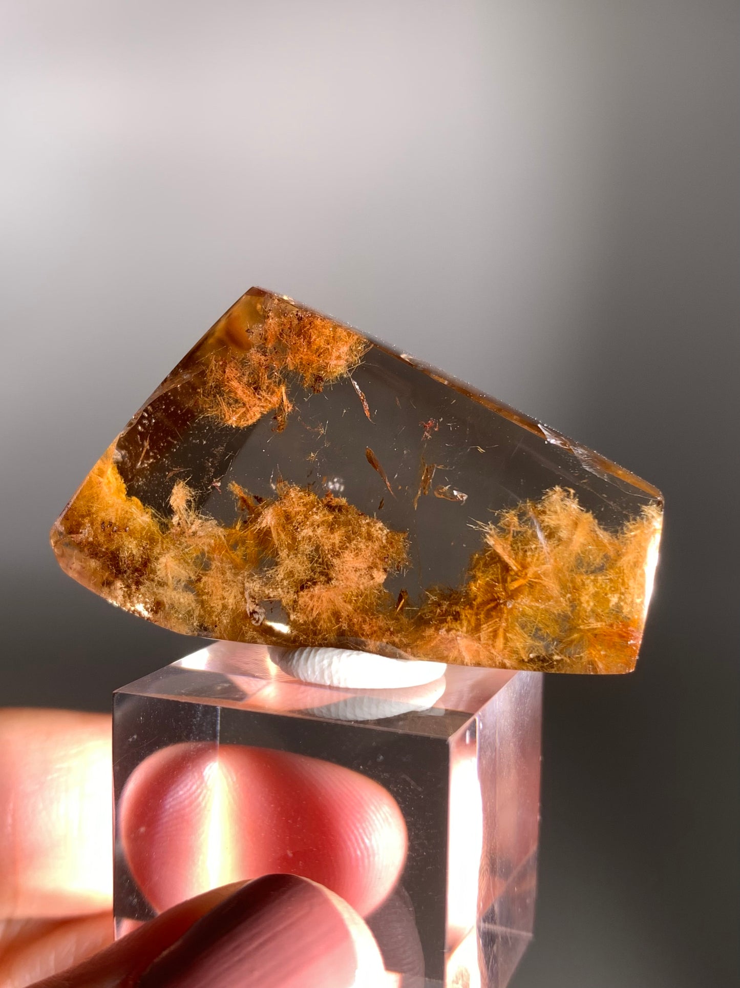 Rare Gold  Flower Rutile Quartz Polished Freeform