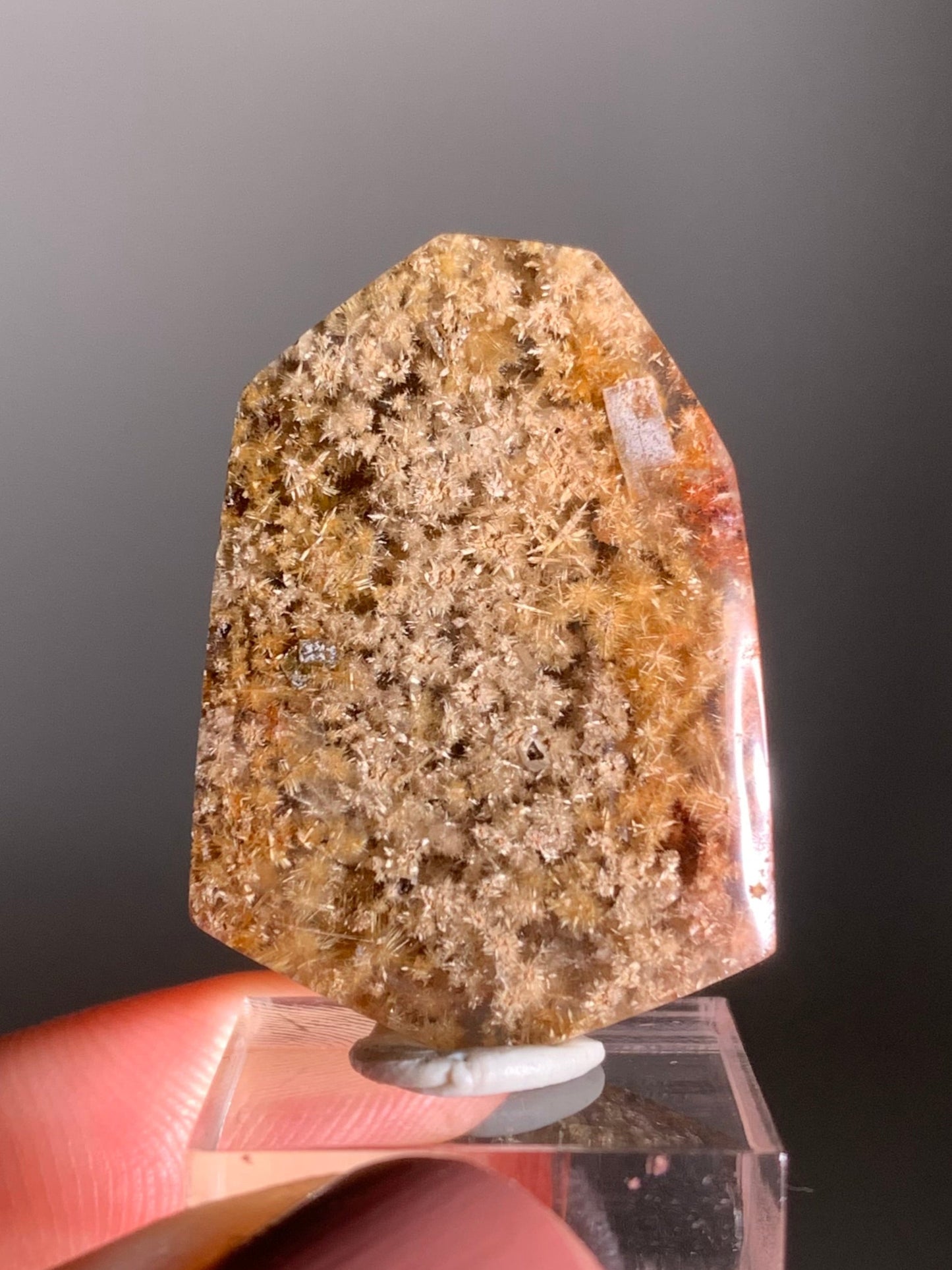 Rare, Densely Packed Red, Copper, and Gold Flower Rutile Quartz Polished Freeform