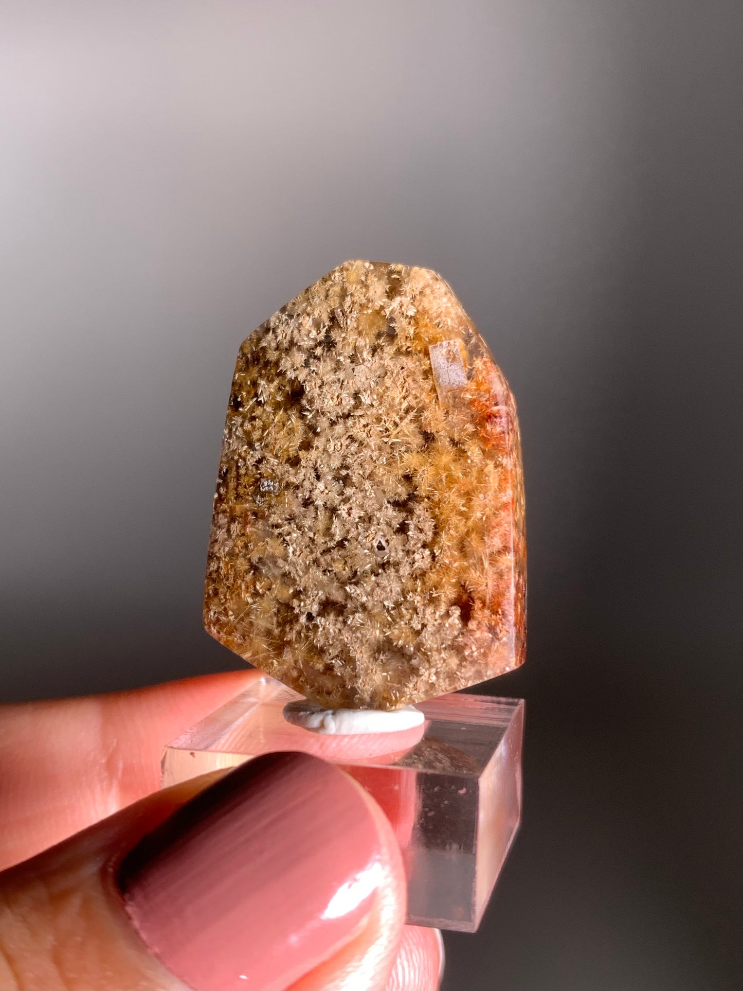 Rare, Densely Packed Red, Copper, and Gold Flower Rutile Quartz Polished Freeform