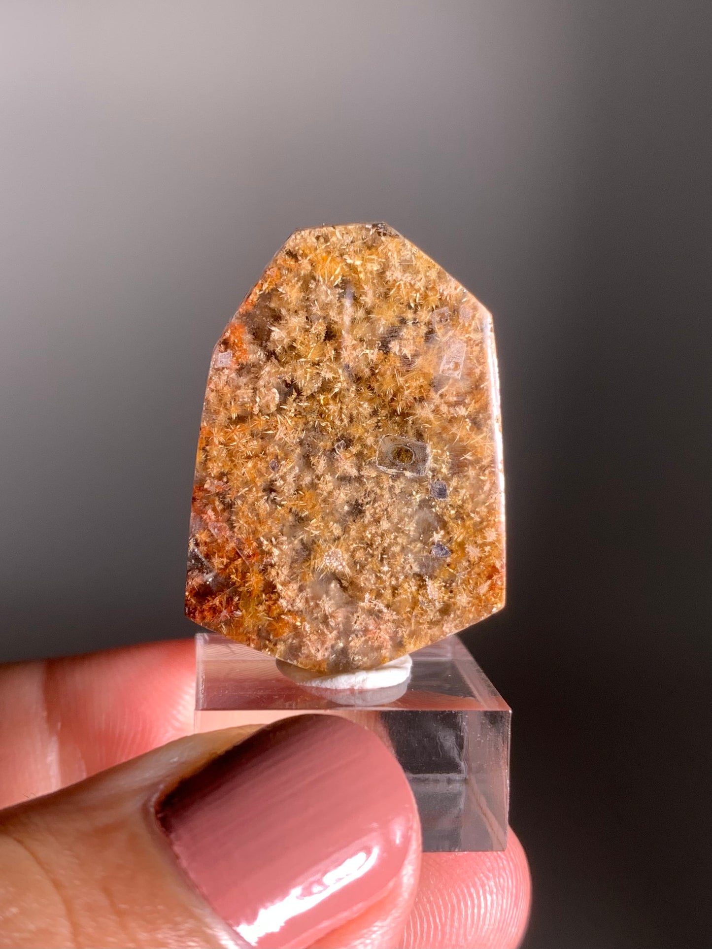 Rare, Densely Packed Red, Copper, and Gold Flower Rutile Quartz Polished Freeform