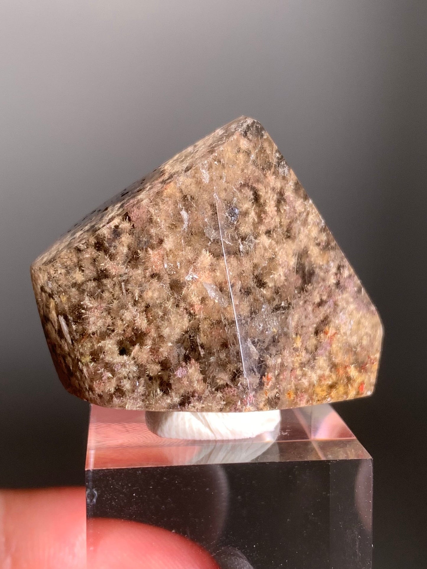 Rare Polished Freeform Quartz with Richly Packed Gold and Light Gold Flower Rutile and Purple Lodolite