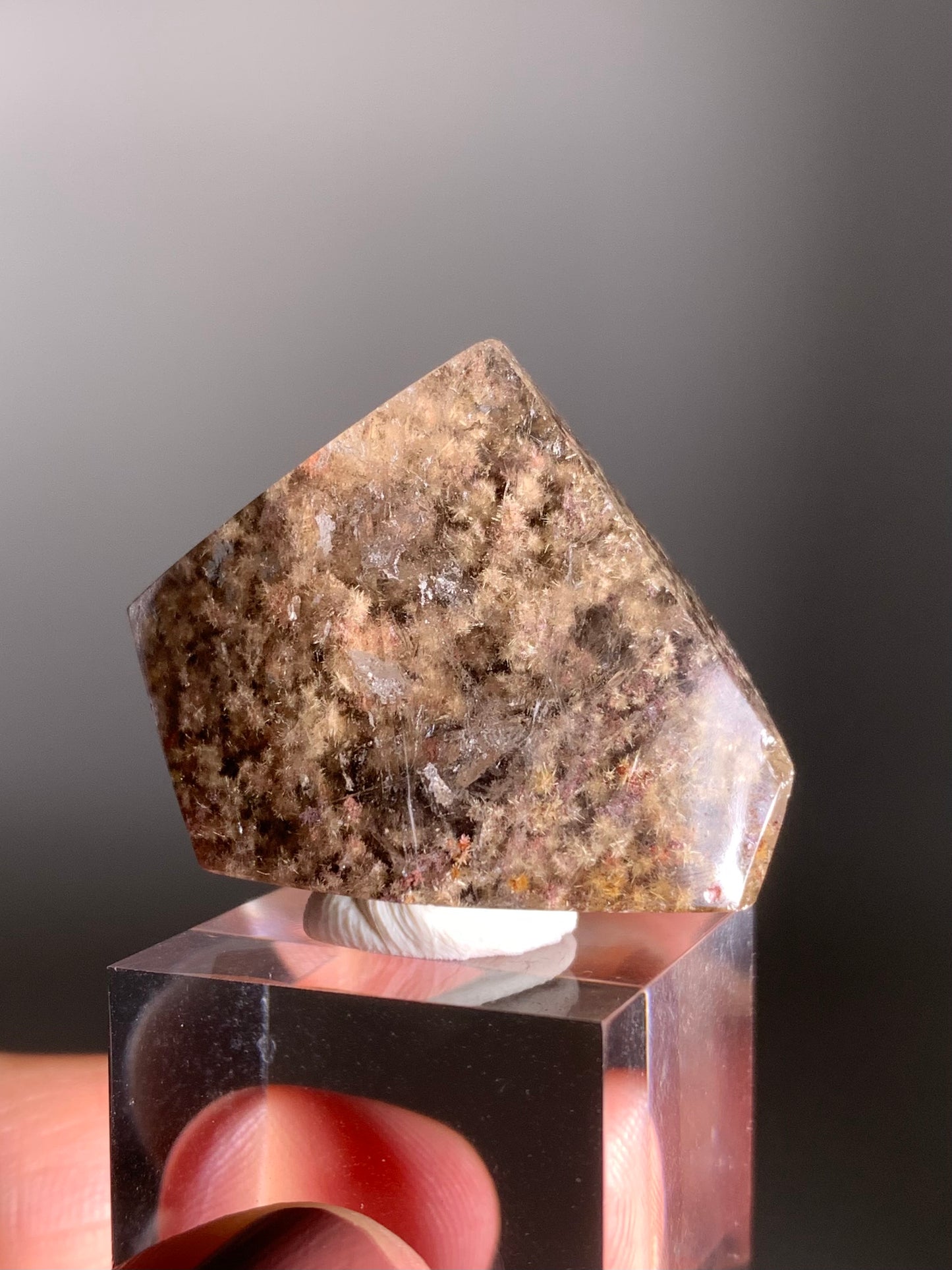 Rare Polished Freeform Quartz with Richly Packed Gold and Light Gold Flower Rutile and Purple Lodolite