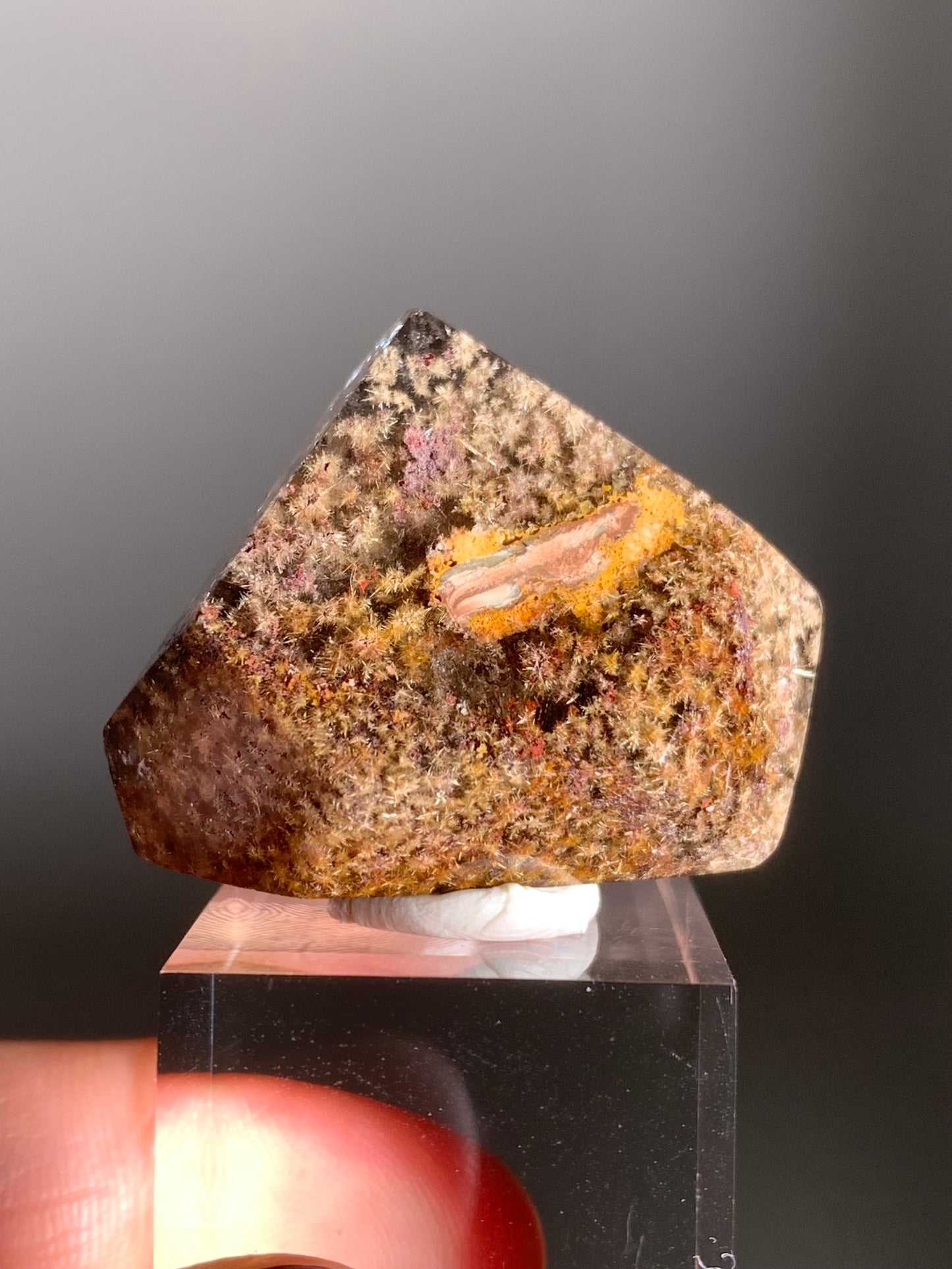 Rare Polished Freeform Quartz with Richly Packed Gold and Light Gold Flower Rutile and Purple Lodolite