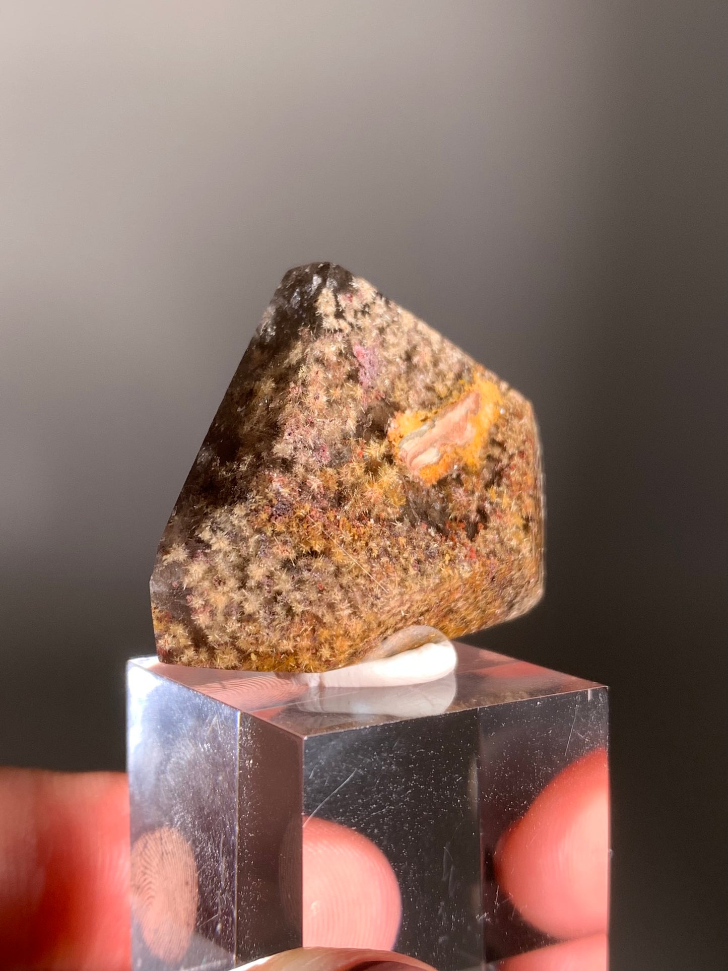 Rare Polished Freeform Quartz with Richly Packed Gold and Light Gold Flower Rutile and Purple Lodolite