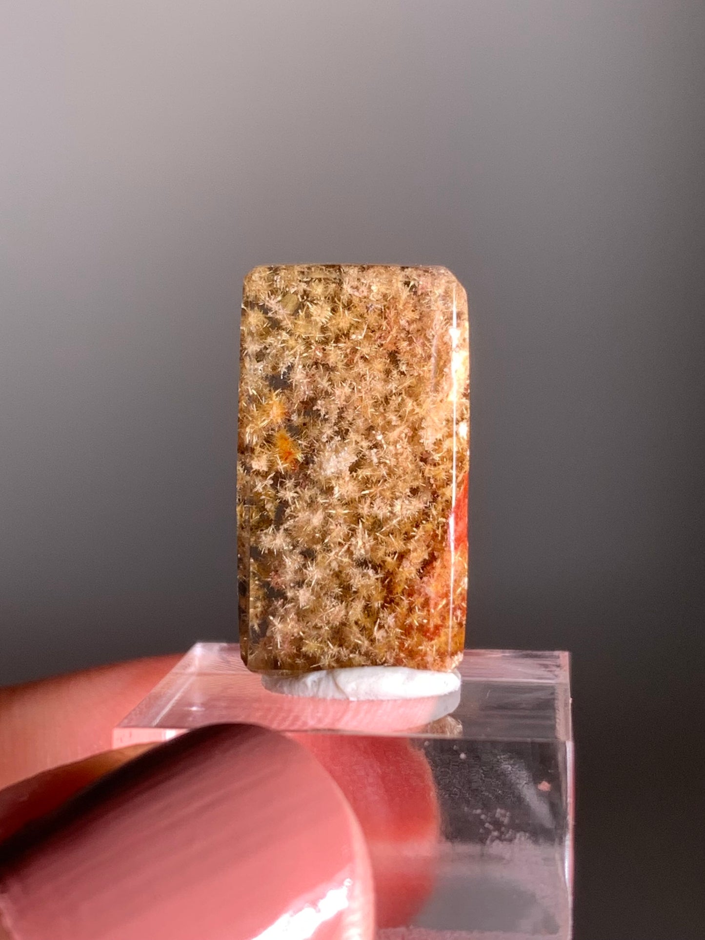 Rare Polished Freeform Quartz with Richly Packed Gold Flower Rutile