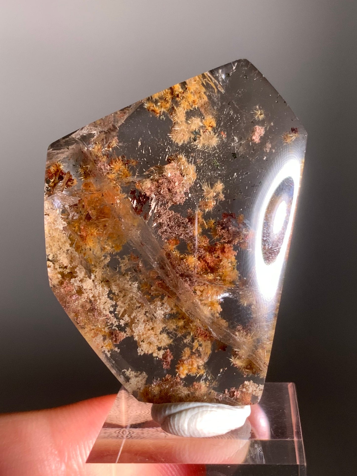 Rare Gold Flower Rutile Quartz with Colorful Garden Inclusions – Polished Freeform