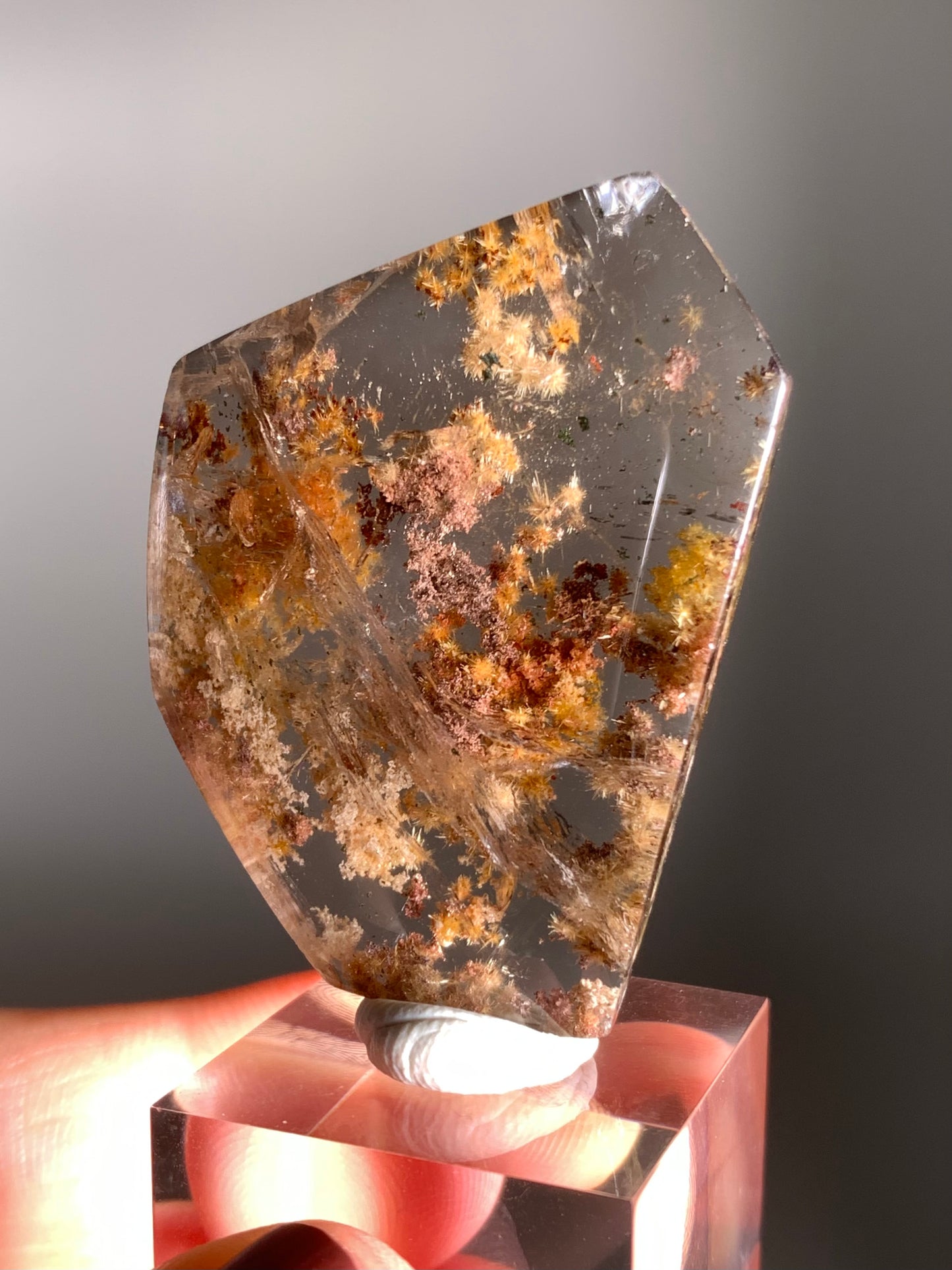 Rare Gold Flower Rutile Quartz with Colorful Garden Inclusions – Polished Freeform