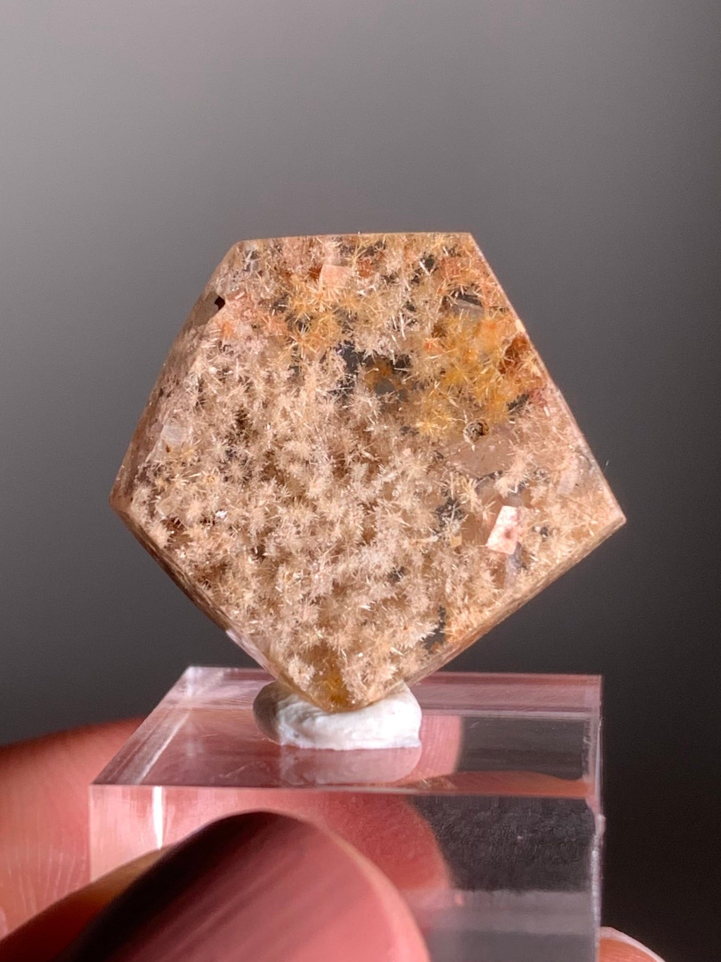 Rare Polished Freeform Quartz with Richly Packed Gold and White-Gold Flower Rutile