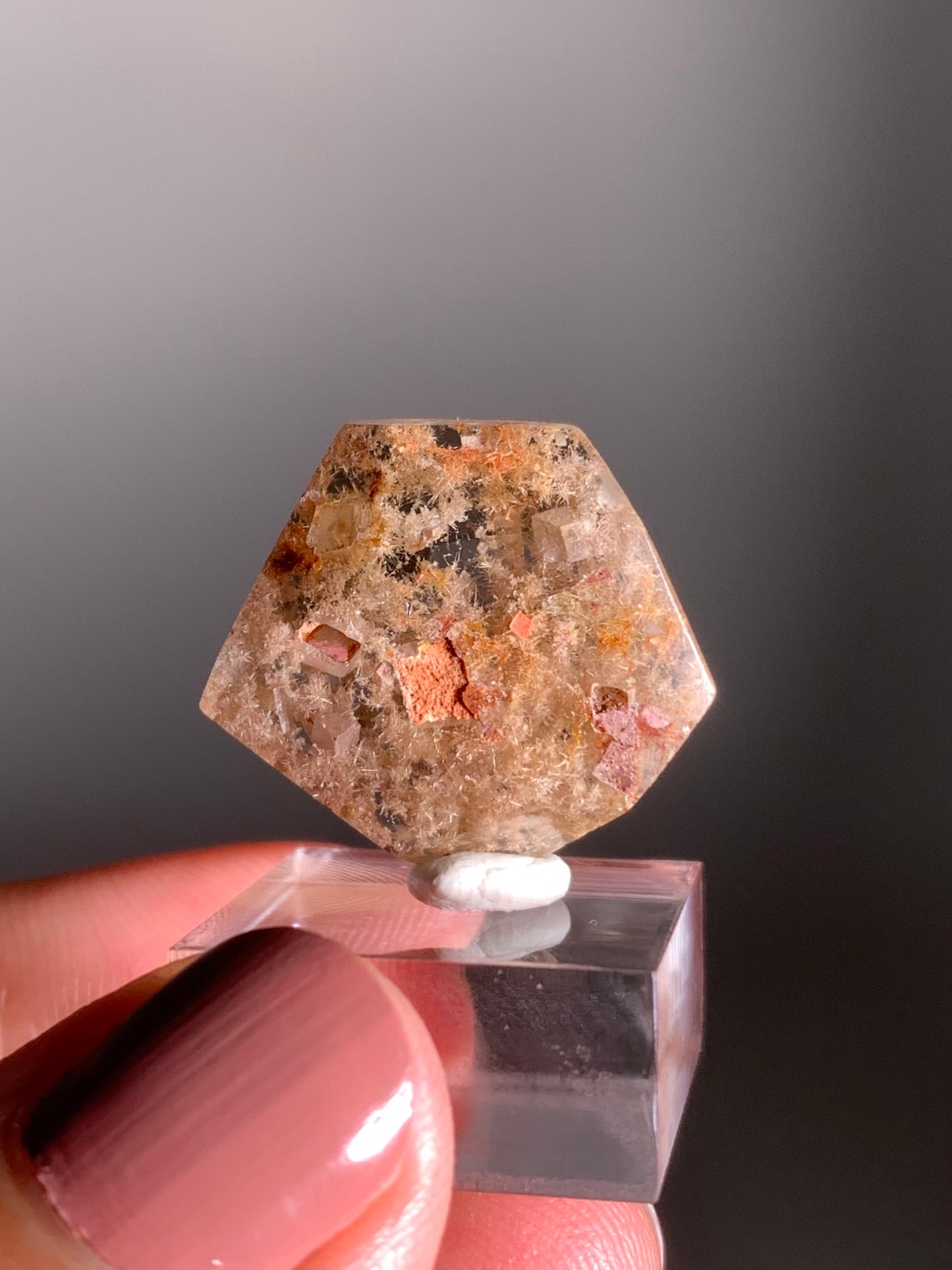 Rare Polished Freeform Quartz with Richly Packed Gold and White-Gold Flower Rutile