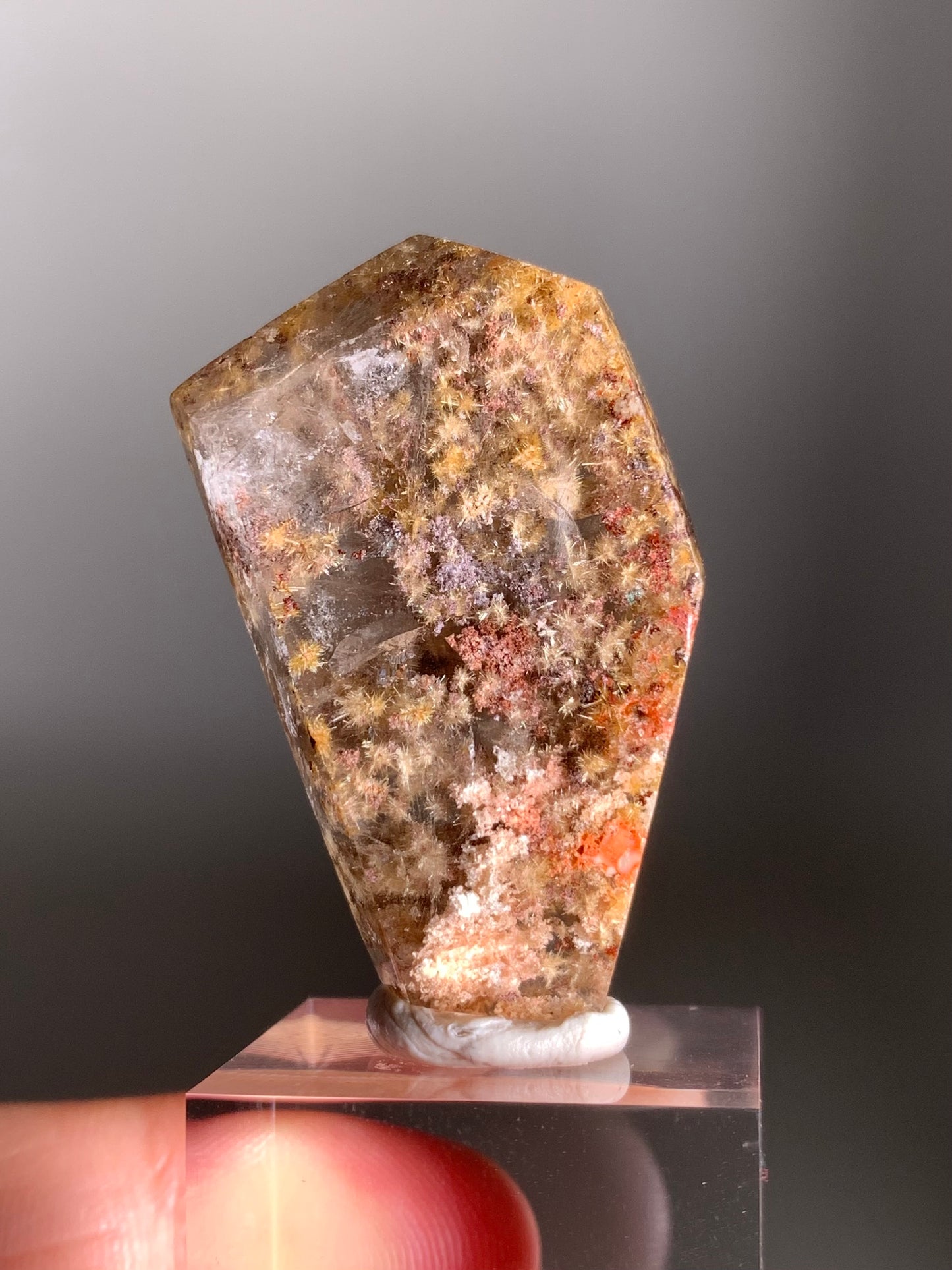 Rare Gold Flower Rutile Quartz with Colorful Garden Inclusions – Polished Freeform