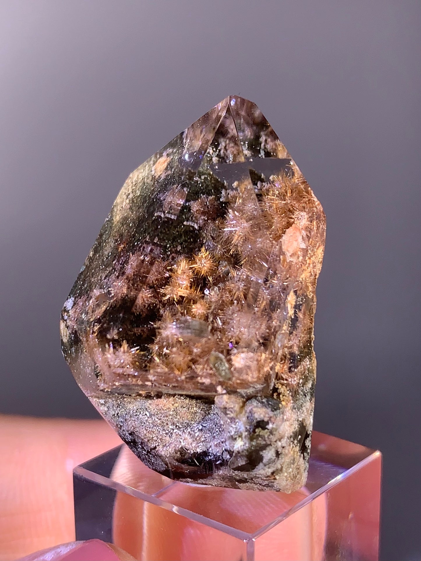 Collector’s Piece Gold & Pink Flower Rutile with Garden Quartz Semi-Polished Point – Brazil