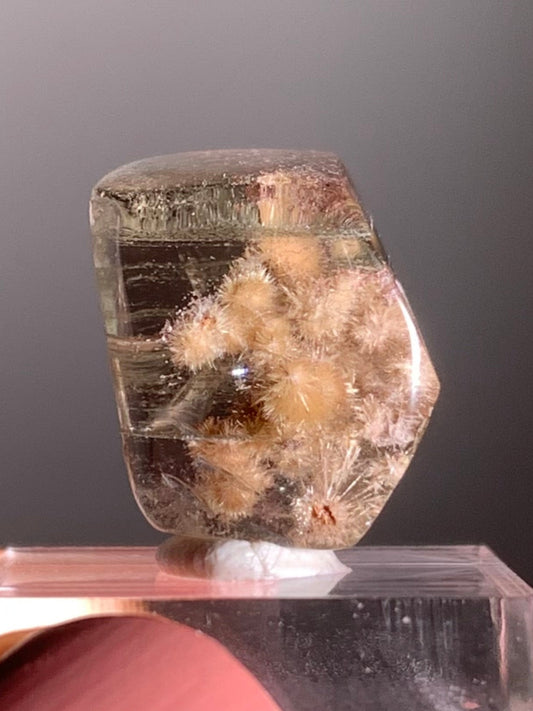 Rare Gold Flower Rutile Quartz with Layered Green Phantom and Purple Garden Inclusions – Polished Freeform
