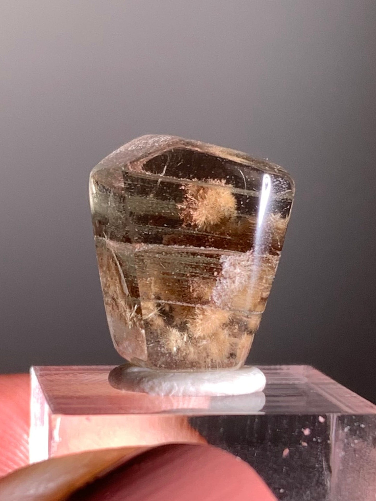 Rare Gold Flower Rutile Quartz with Layered Green Phantom and Purple Garden Inclusions – Polished Freeform