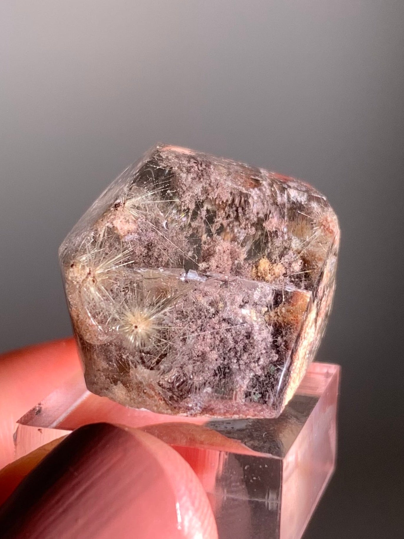 Rare Gold Flower Rutile Quartz with Pink & Purple Garden Inclusions – Polished Freeform