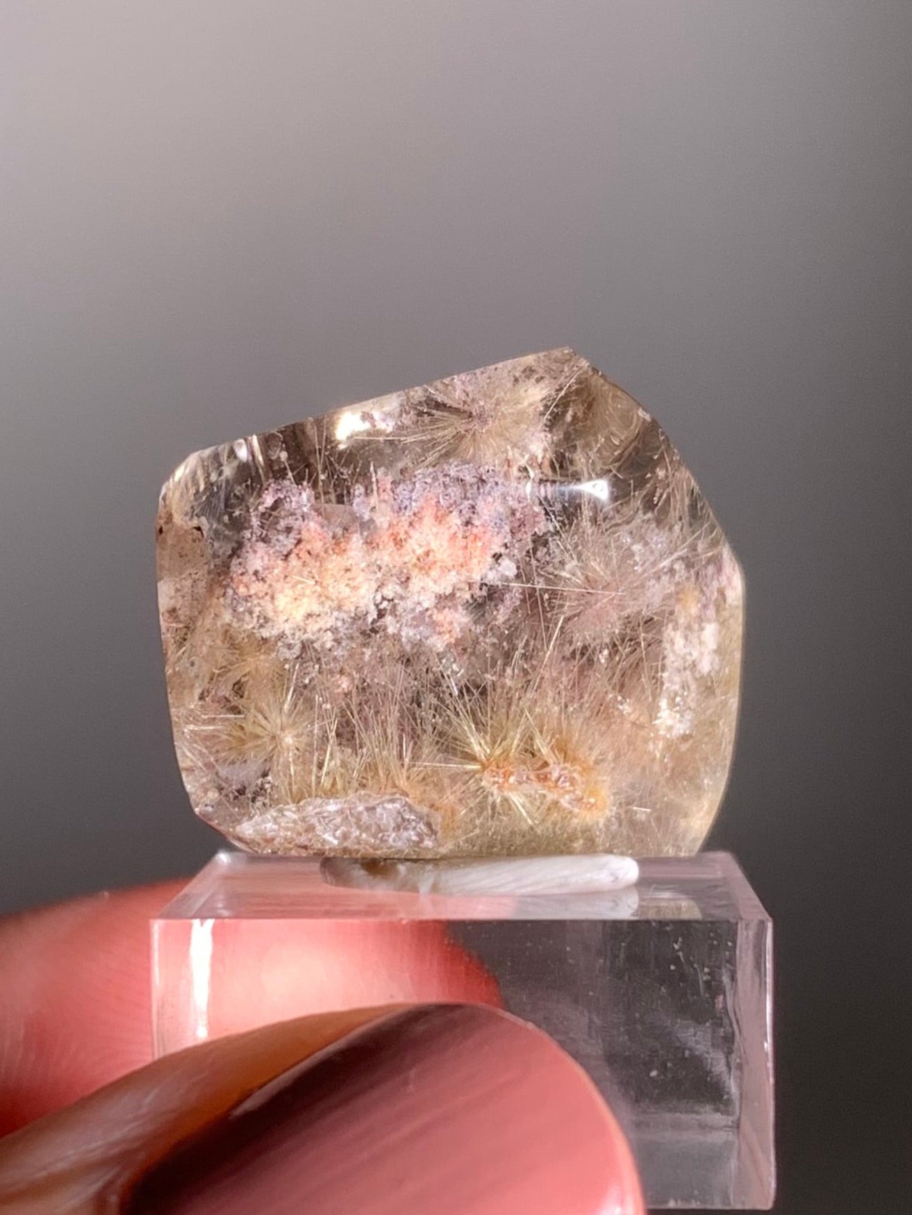 Rare Gold Flower Rutile Quartz with Pink & Purple Garden Inclusions – Polished Freeform