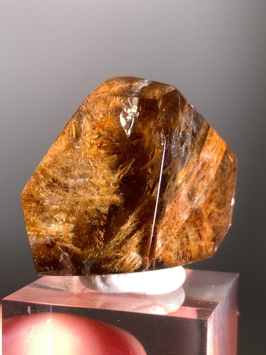 Rare Gold Flower Rutile Quartz Polished Freeform