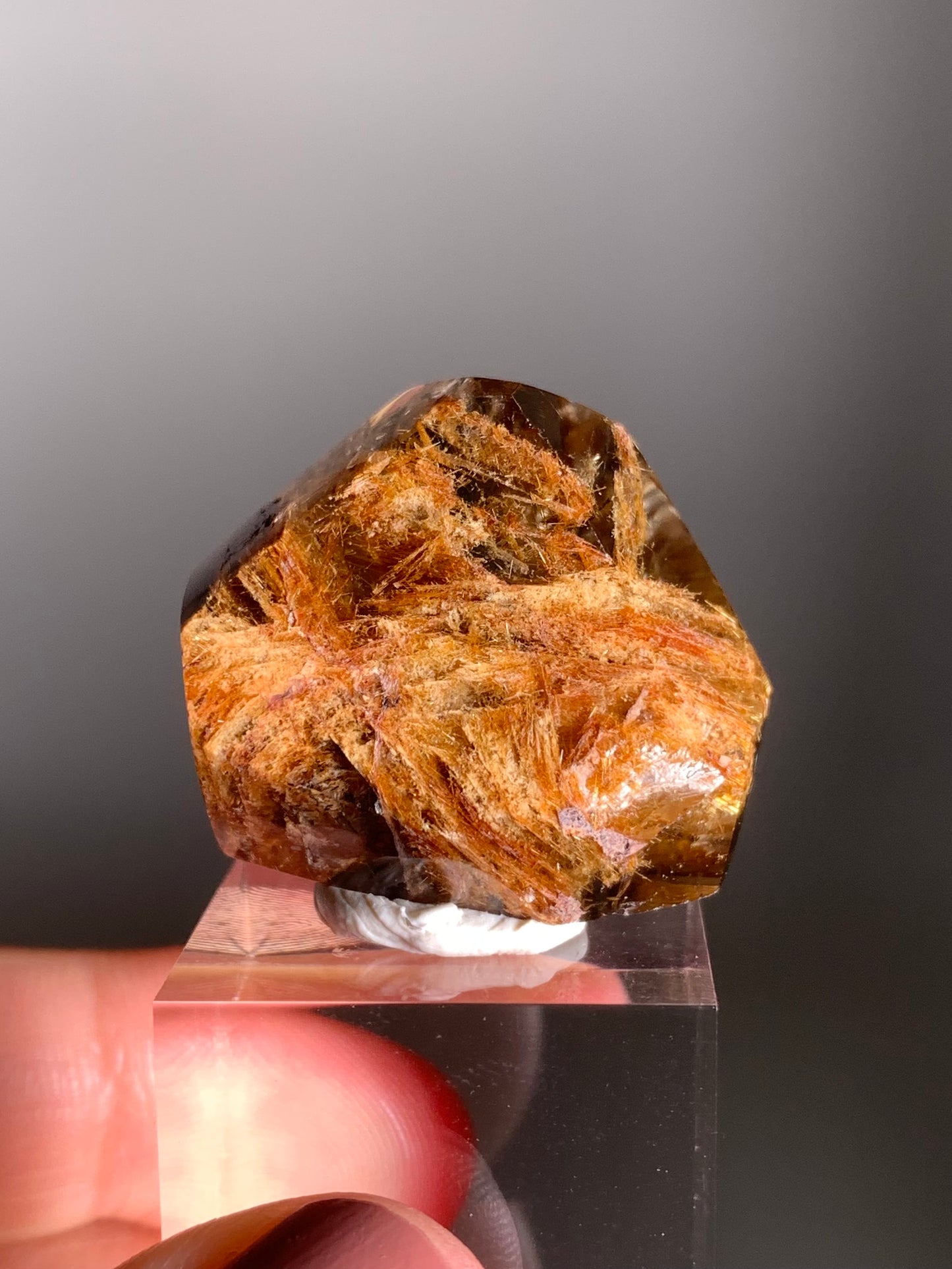 Rare Gold Flower Rutile Quartz Polished Freeform