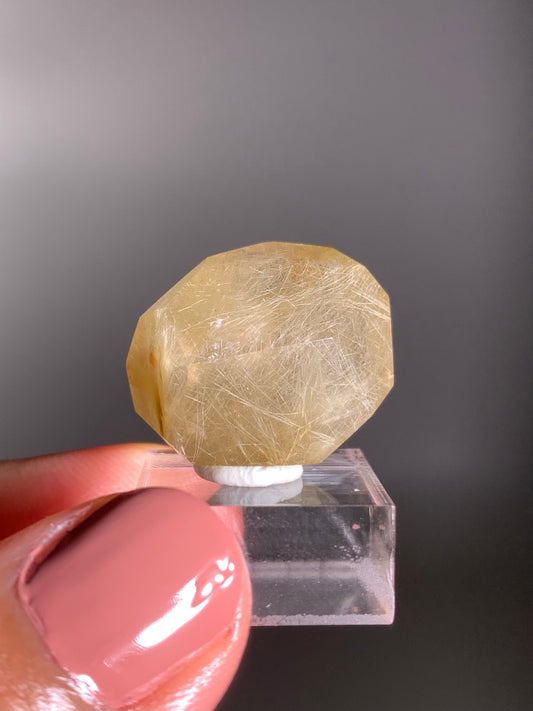 Gold Rutile Quartz Polished Mini Freeform