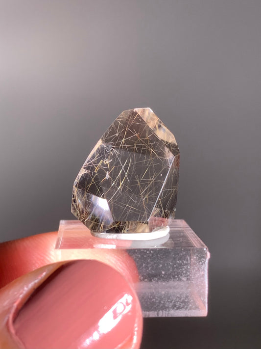 Gold Rutile Quartz Polished Mini Freeform