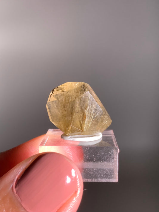 Gold & Black Rutile Quartz Polished Mini Freeform
