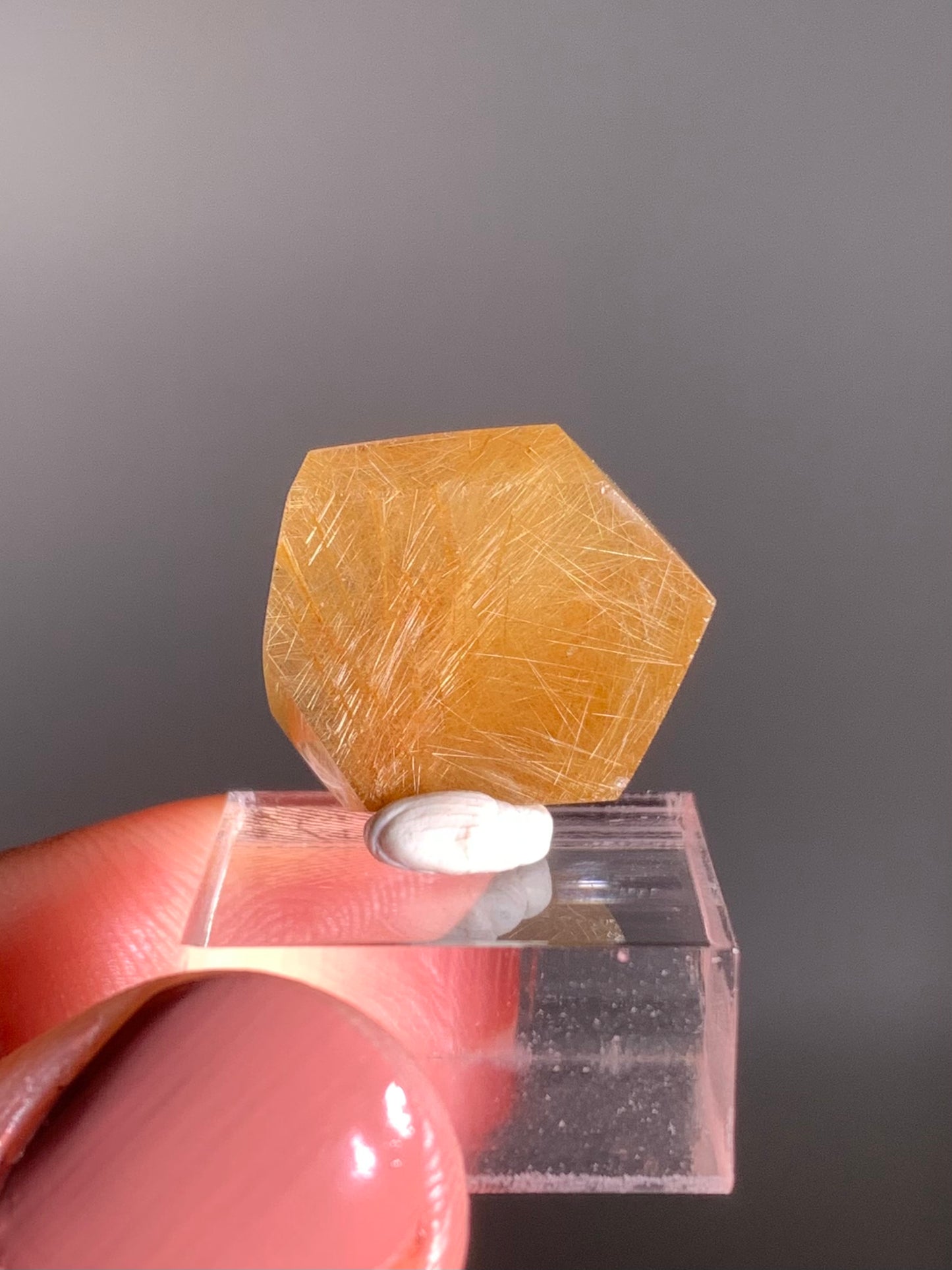 Gold Rutile Quartz Polished Mini Freeform