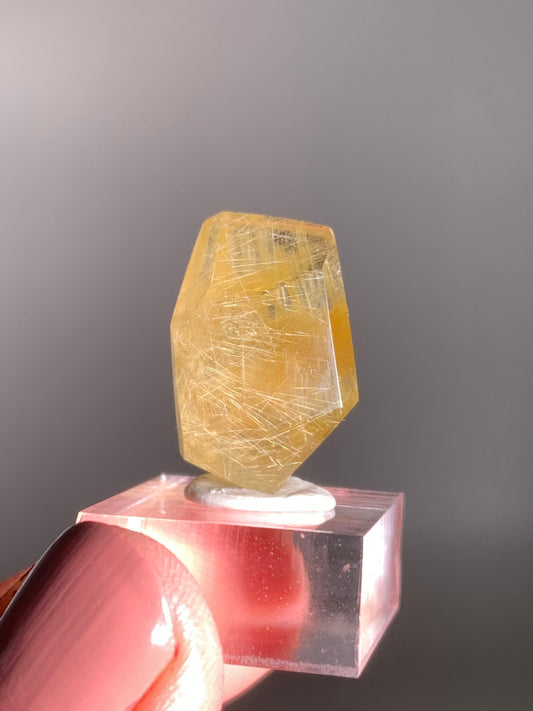 Gold Rutile Quartz Polished Mini Freeform