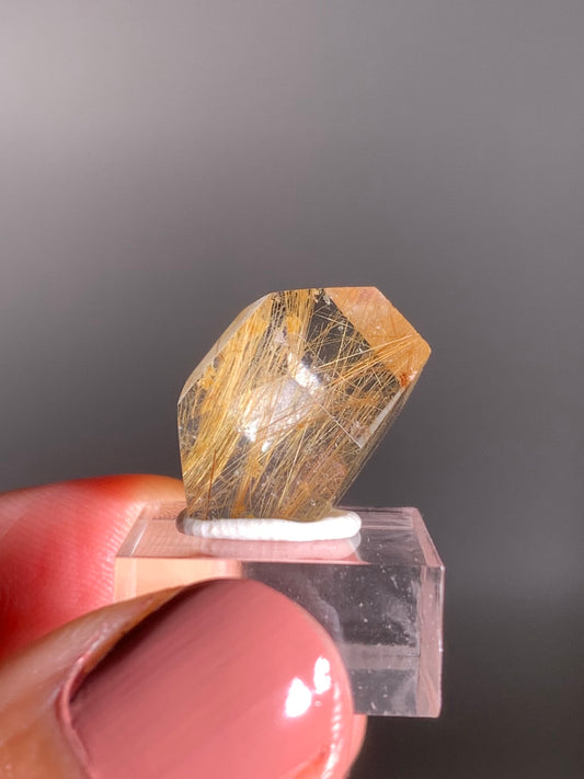 Gold Rutile Quartz Polished Mini Freeform