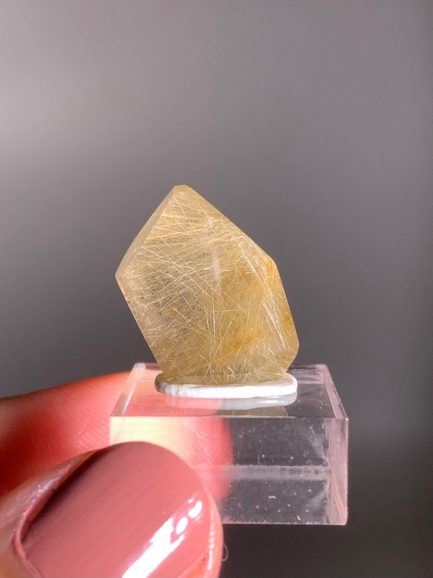 Gold Rutile Quartz Polished Mini Freeform