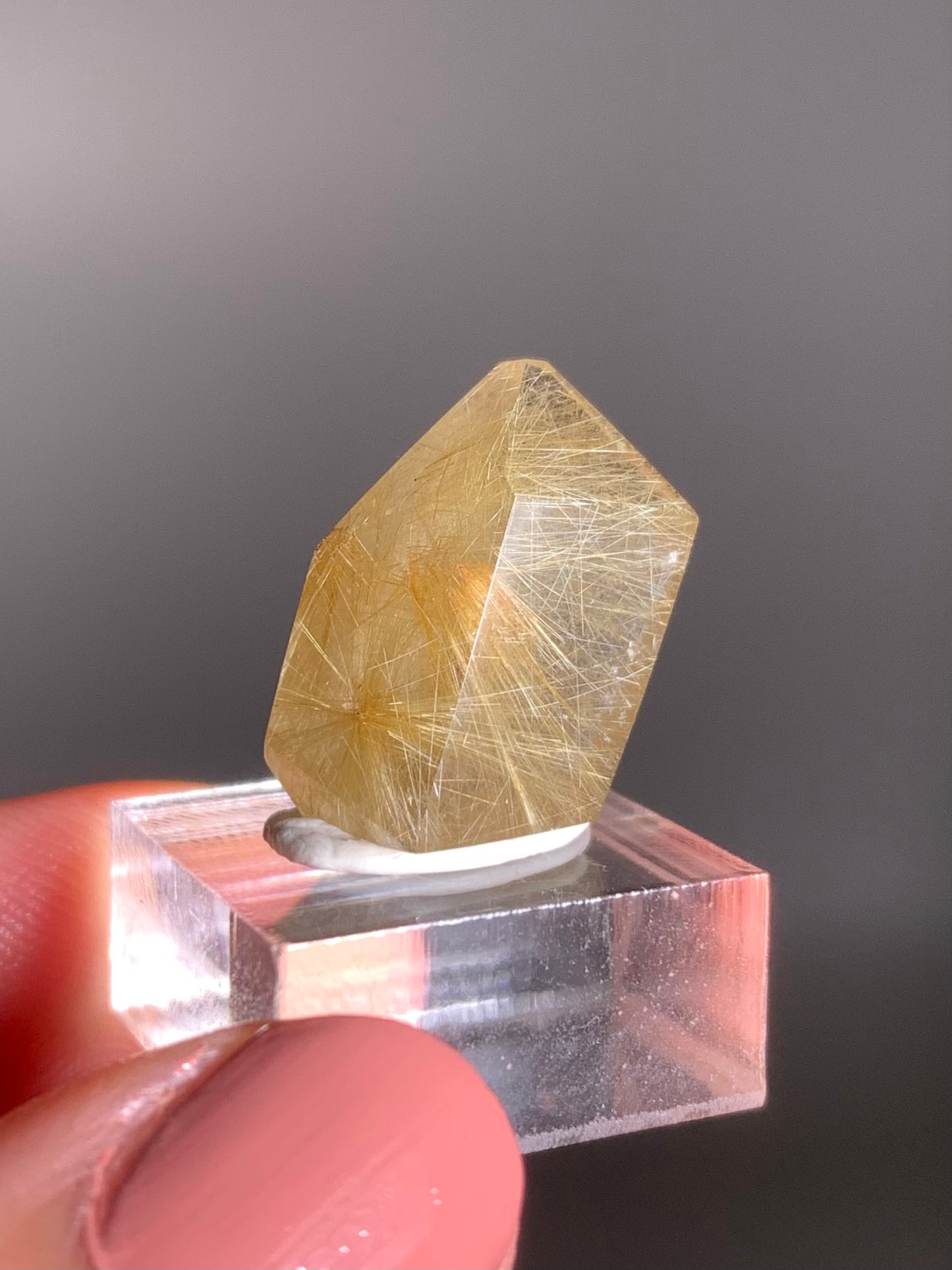 Gold Rutile Quartz Polished Mini Freeform