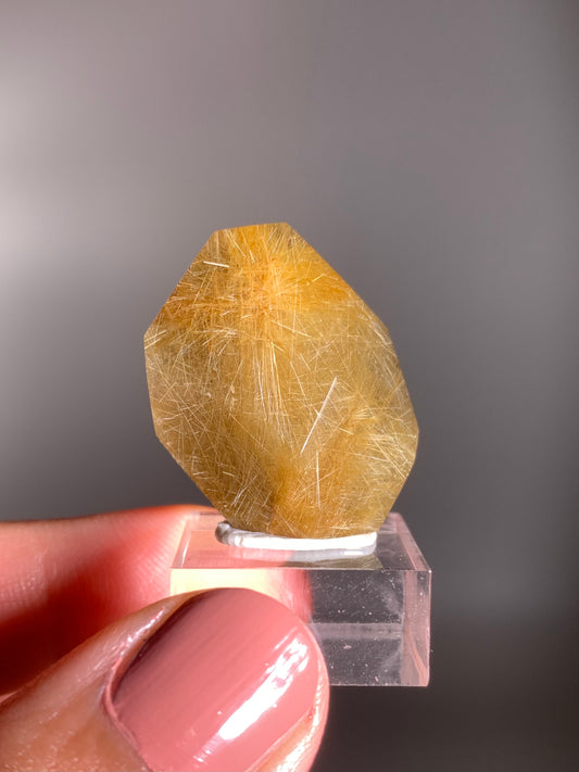 Gold Rutile Quartz Polished Mini Freeform
