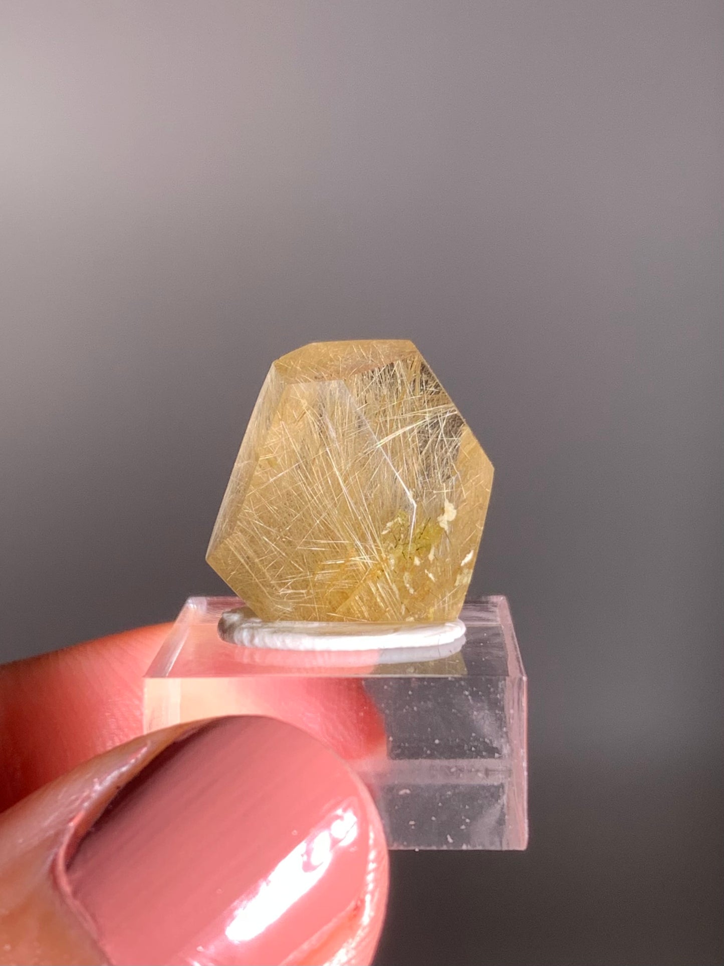 Gold Rutile Quartz Polished Mini Freeform