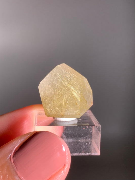 Gold Rutile Quartz Polished Mini Freeform