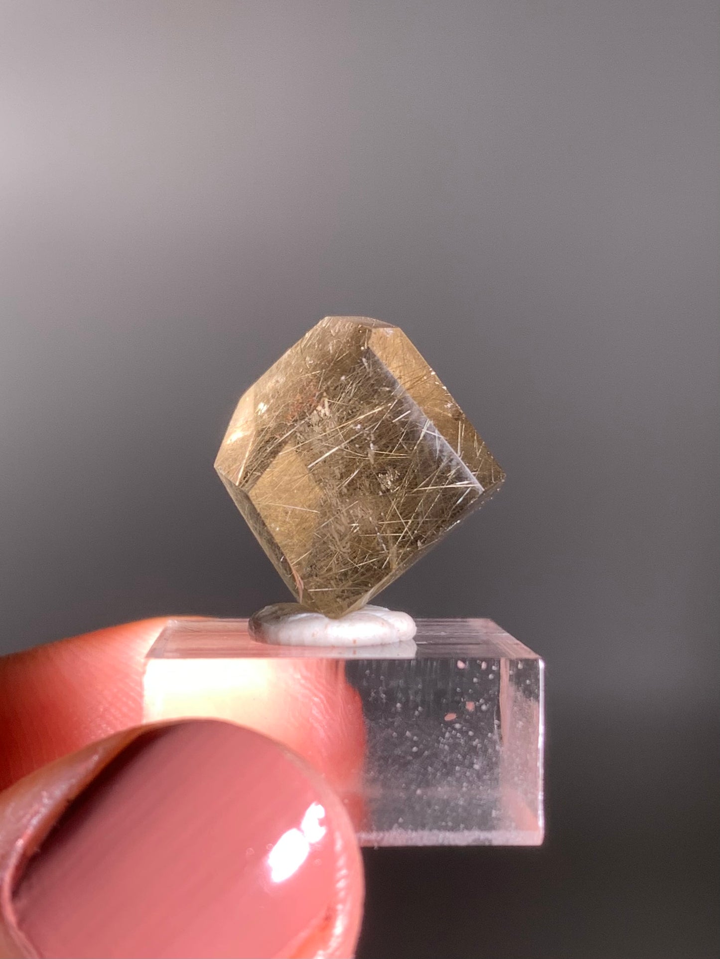 Gold Rutile Quartz Polished Mini Freeform