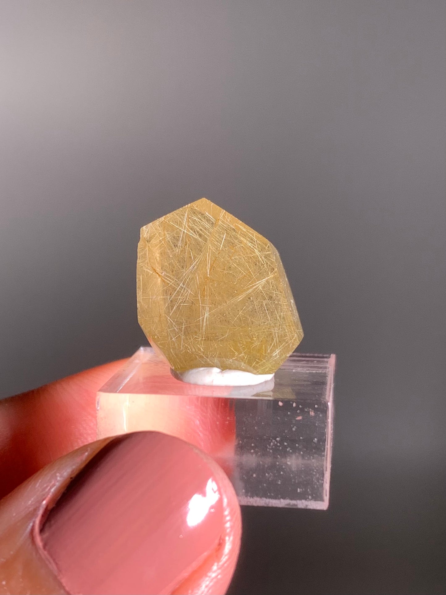 Gold Rutile Quartz Polished Mini Freeform