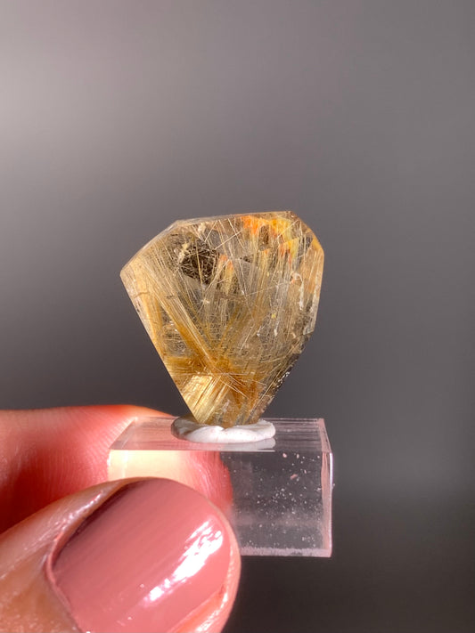 Gold Rutile Quartz Polished Mini Freeform