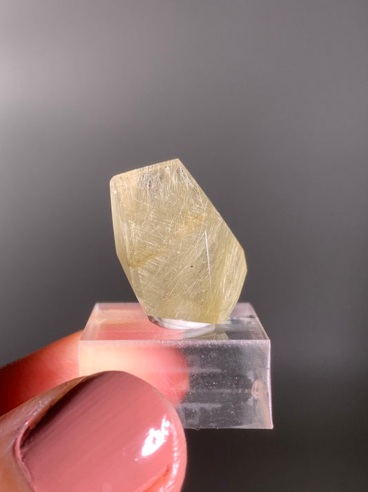 Gold Rutile Quartz Polished Mini Freeform