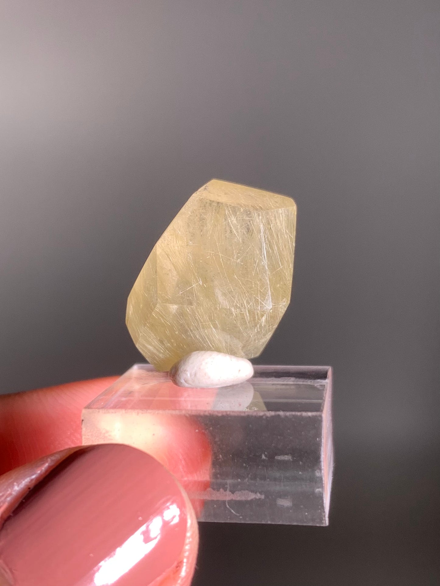 Gold Rutile Quartz Polished Mini Freeform