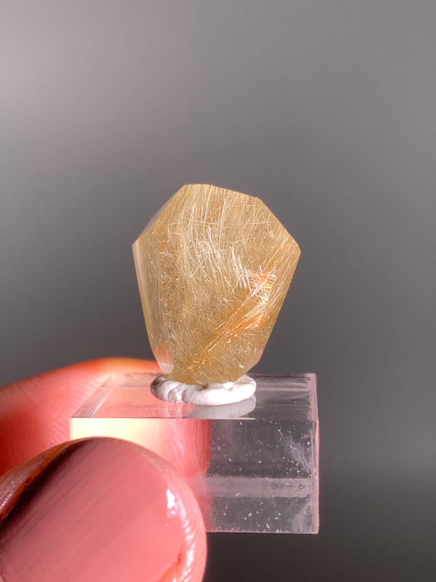 Gold Rutile Quartz Polished Mini Freeform