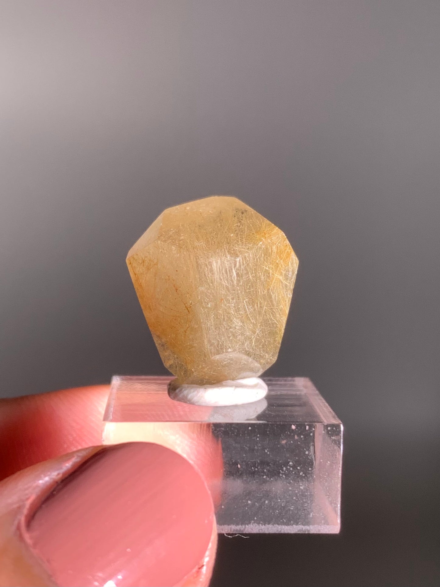 Gold Rutile Quartz Polished Mini Freeform