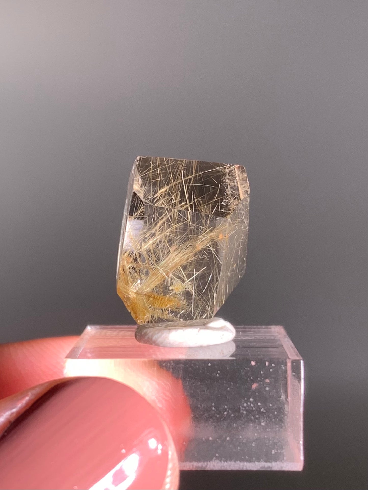 Gold Rutile Quartz Polished Mini Freeform