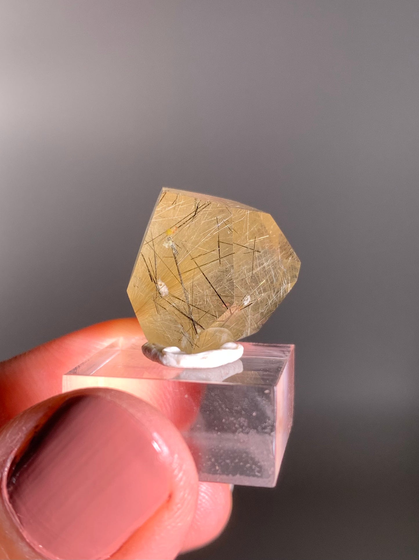 Gold & Black Rutile Quartz Polished Mini Freeform