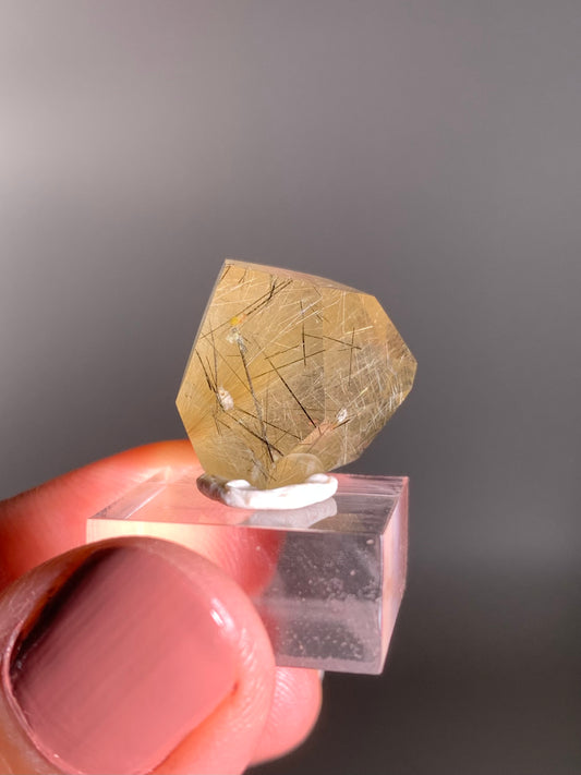 Gold & Black Rutile Quartz Polished Mini Freeform